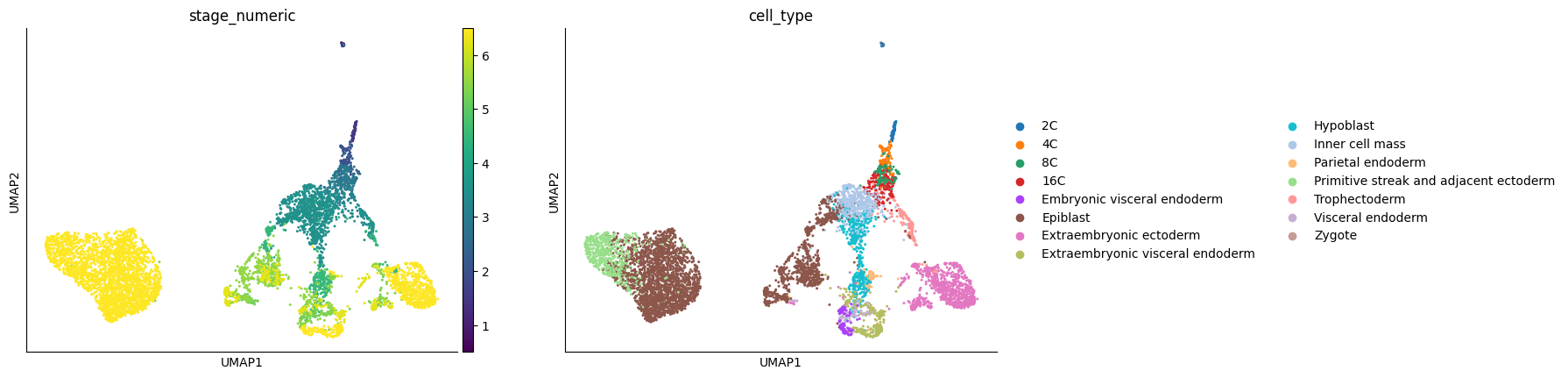05. Developmental Tree Inference — GOT 0.3.1 documentation